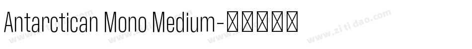 Antarctican Mono Medium字体转换